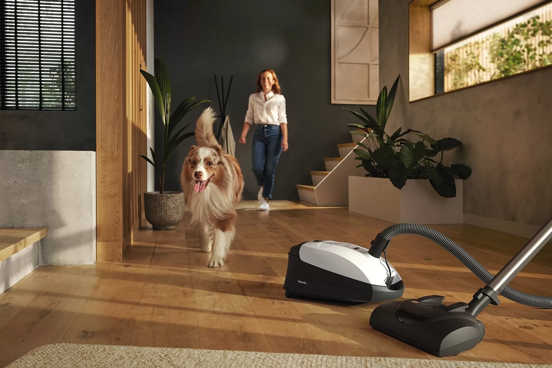 classic_c_cat__dog_powerline__sbbn_2.webp Miele Canister Vacuum Cleaners With Bag<Classic C1 Cat & Dog Powerline - Sbbn0