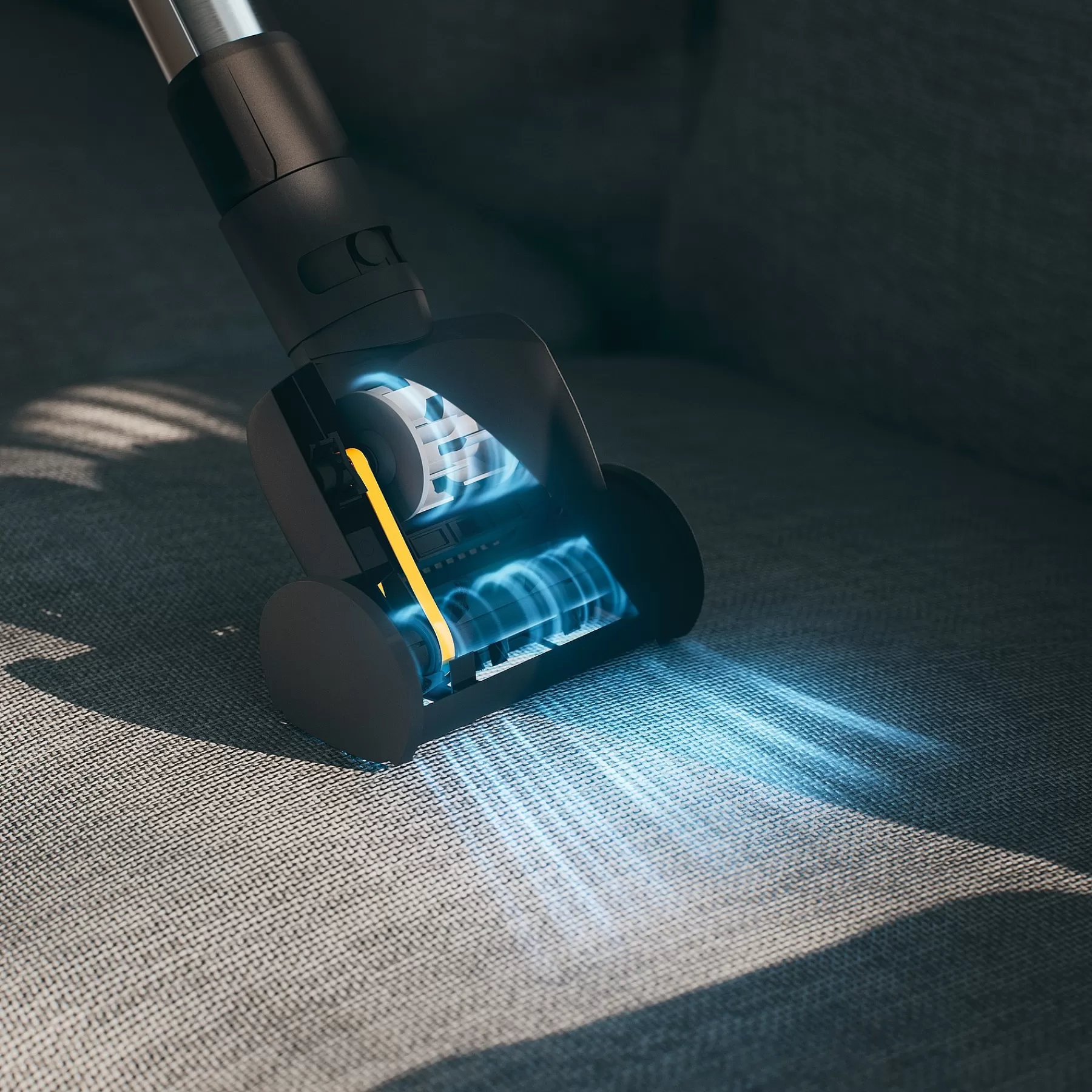 classic_c_cat__dog_powerline__sbbn_5.webp Miele Canister Vacuum Cleaners With Bag<Classic C1 Cat & Dog Powerline - Sbbn0